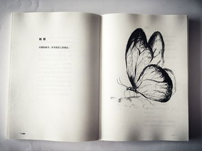 初探《博物志》 一部包羅萬(wàn)象的古代奇書